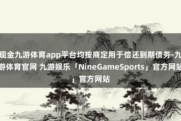 现金九游体育app平台均按商定用于偿还到期债务-九游体育官网 九游娱乐「NineGameSports」官方网站
