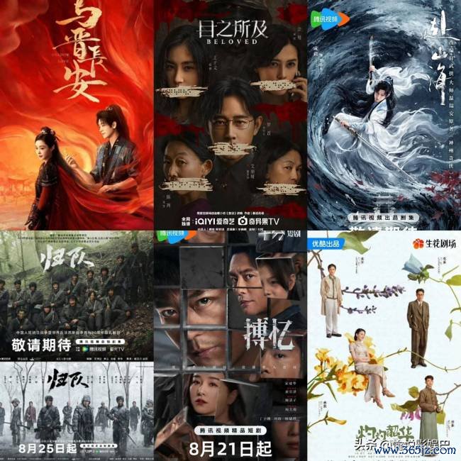 目之所及定档 悬疑剧引期待