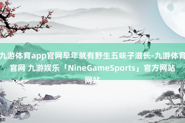 九游体育app官网早年就有野生五味子滋长-九游体育官网 九游娱乐「NineGameSports」官方网站